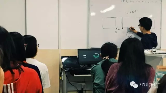 570f8d1cbe558.jpg 8.webp.jpg