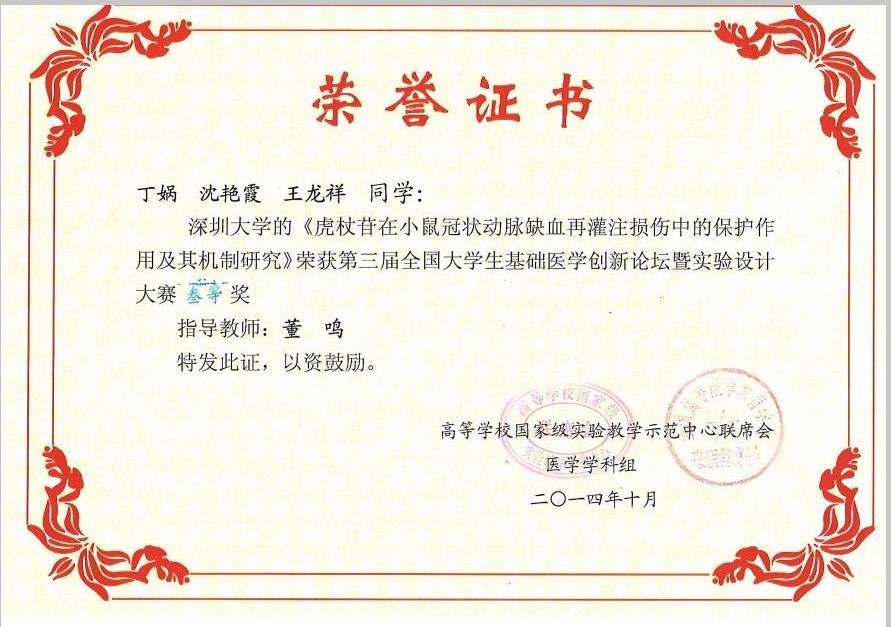 丁娲（董鸣）三等奖.jpg