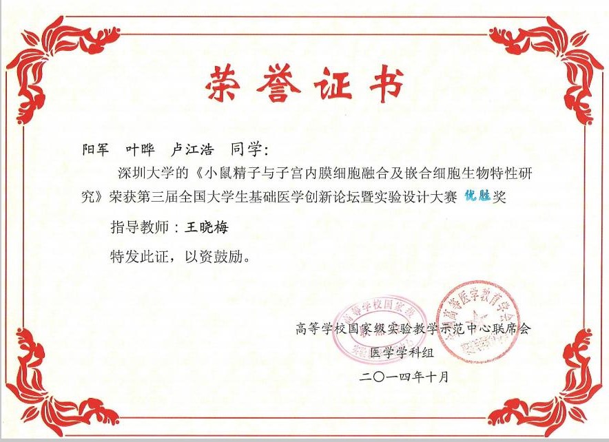 阳军（王晓梅）优胜奖.jpg