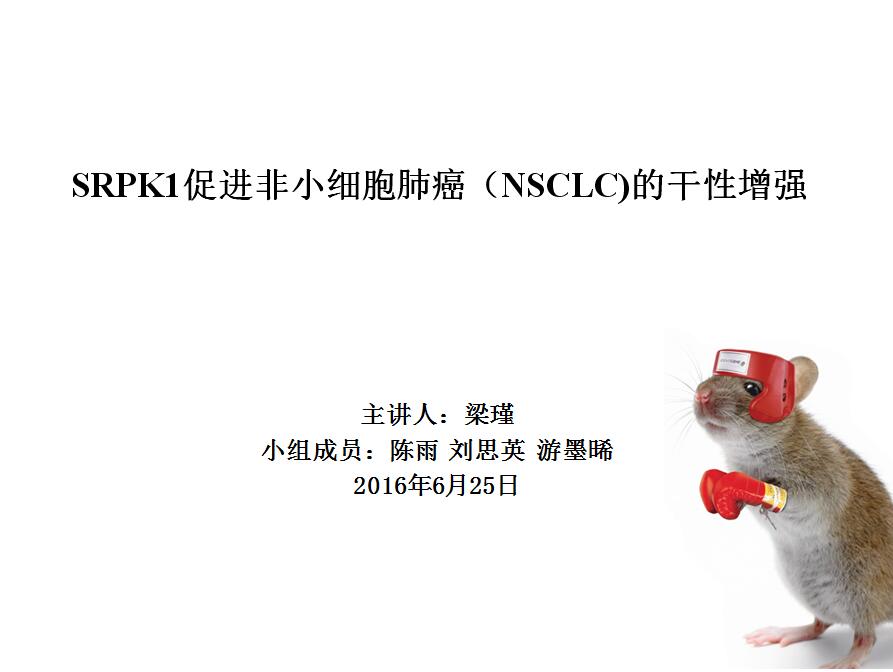 梁瑾首页.jpg