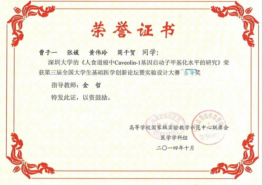 曹子一（金哲）三等奖.jpg